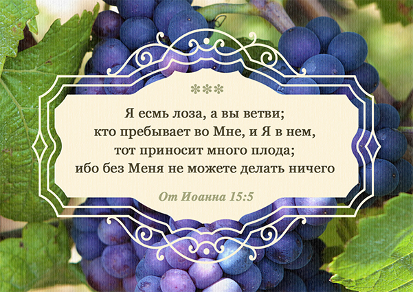 Магнит 7x10: Я есмь Лоза, а вы ветви /виноград/