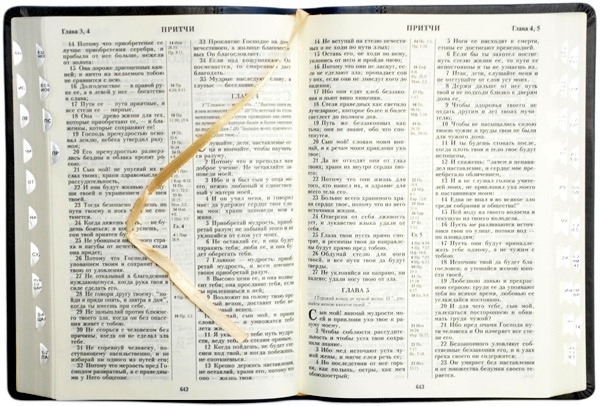 Библия 075 TI Сине-серая, футляр, орнамент, индексы, серебр. срез, кожа, закладки, словарь /170х240/