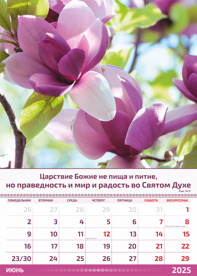 Перекидной календарь 2025: Слово Божье в каждый дом. 6 листов /Акварель/