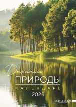 Перекидной календарь 2025: Дыхание природы. 6 листов /Акварель/