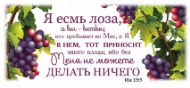 Кружка &quot;Я ЕСМЬ ЛОЗА&quot;