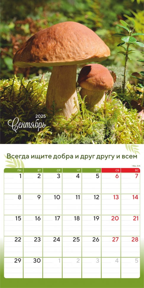 Перекидной календарь 2025: Природа славит Творца /Акварель/