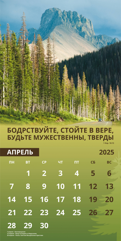 Перекидной календарь 2025: Достигая цели (мужской) /Акварель/