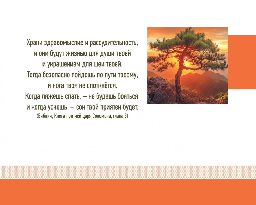 Настольный календарь 2026: Достигая максимума /домик/