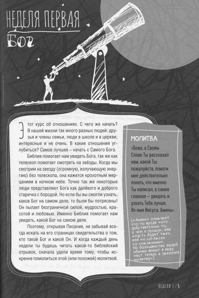 РАДИКАЛЬНО ДРУГИЕ. Руководство для общения в группе. Пособие для ученика. Чемп Торнтон