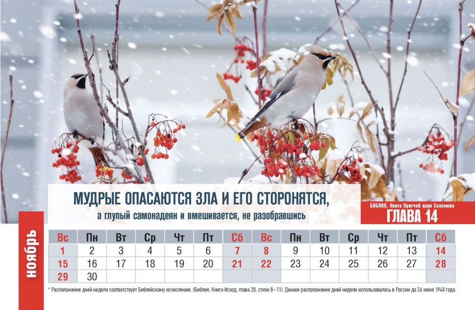 Настольный календарь 2026: Притчи Царя Соломона /домик/
