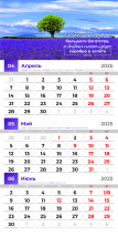 Перекидной календарь 2025: Благословенный год /Акварель/