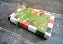 HOLY BIBLE. REVISED STANDARD VERSION BIBLES /200x125/