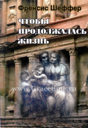 Уценка! КАК ЖЕ НАМ ТЕПЕРЬ ЖИТЬ? (Чтобы продолжалась жизнь). Френсис Шеффер