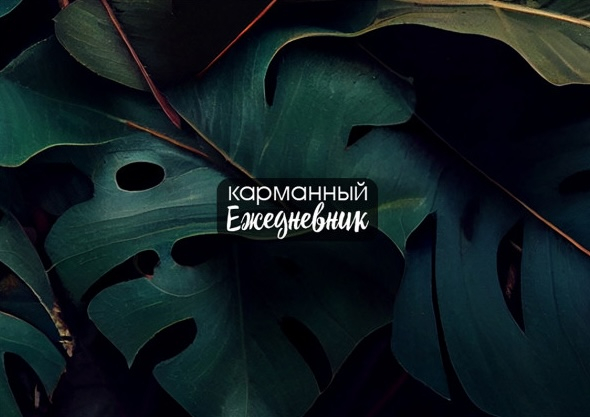 Карманный ежедневник с наклейками «ТЕМНЫЕ ЛИСТЬЯ»