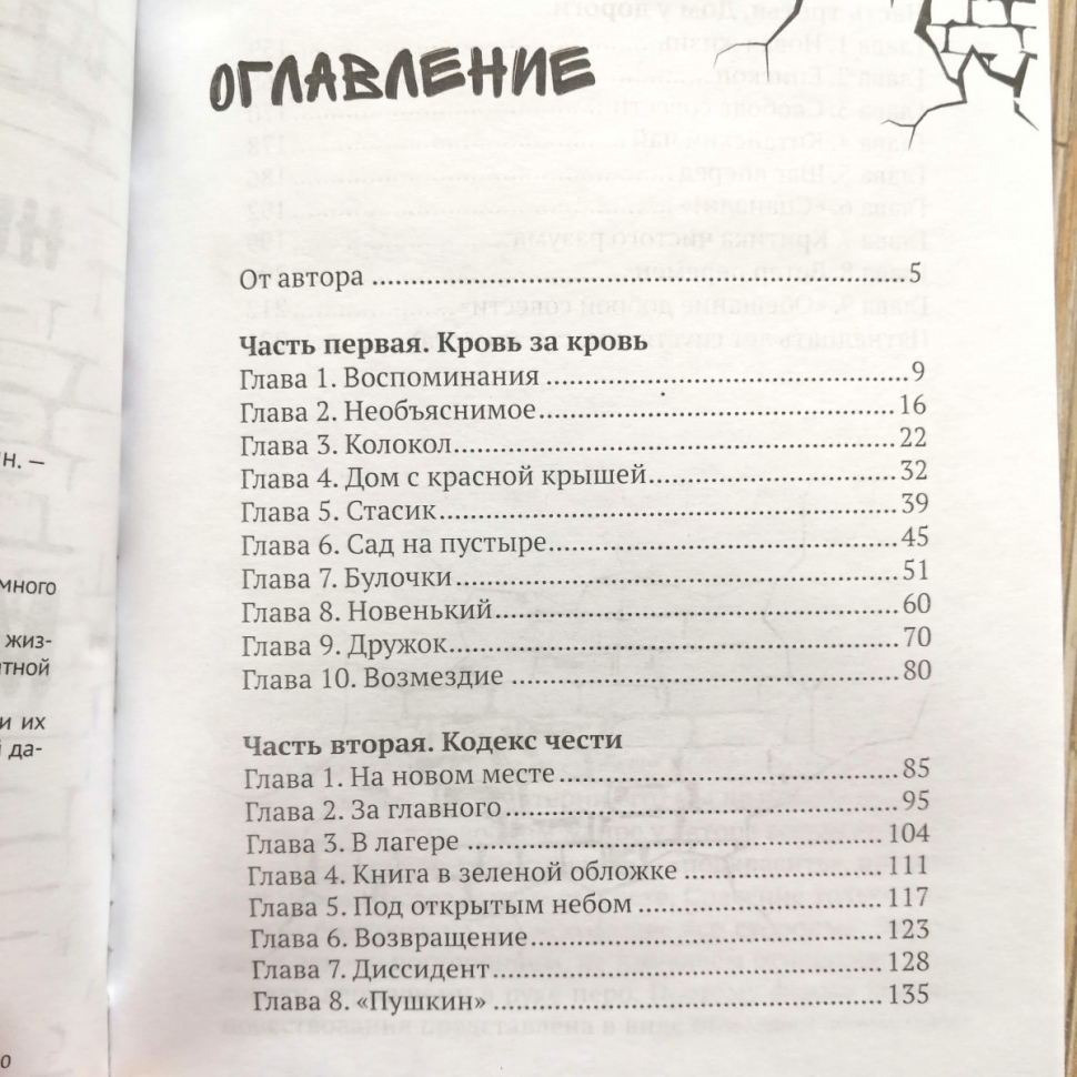 Уценка! НЕДЕТСКАЯ ЖИЗНЬ ФЕДЬКИ МАРТЫНОВА. Михаил Ирин
