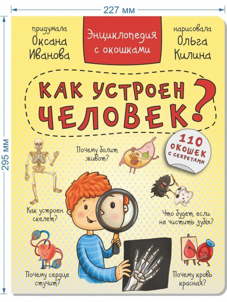 КАК УСТРОЕН ЧЕЛОВЕК? Энциклопедия с окошками. Оксана Иванова