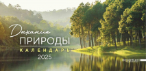Настольный календарь 2025: Дыхание природы /домик/