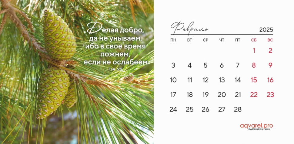 Настольный календарь 2025: Дыхание природы /домик/