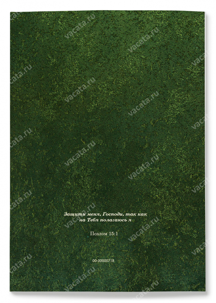 МОЛИТВОСЛОВ. ПСАЛТИРЬ